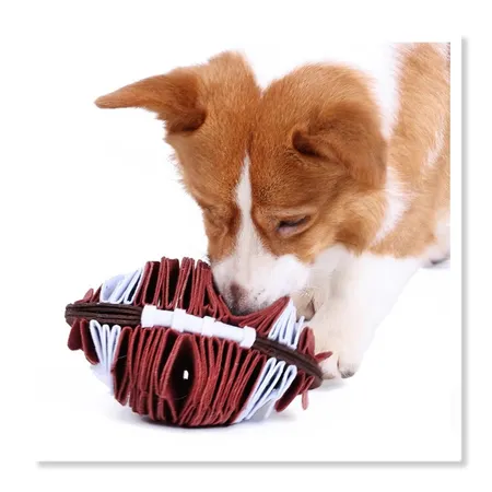 Champwin Product Limited