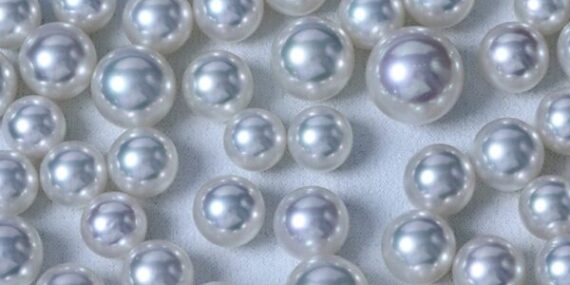 Eastern Pearl Company Limited